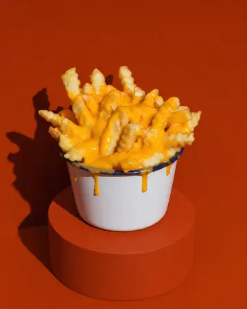 Cheese Fries